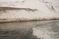 
DSC00091